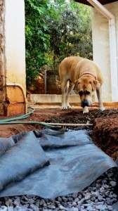 Use landscape fabric to cover the gravel layer.